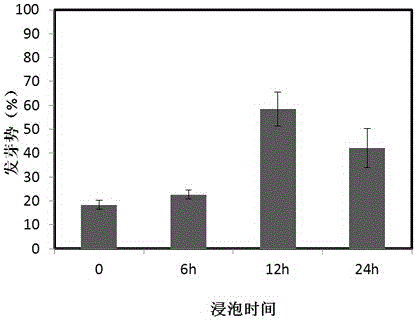 A rapid germination method and special device for seeds in bluegrass lawn establishment