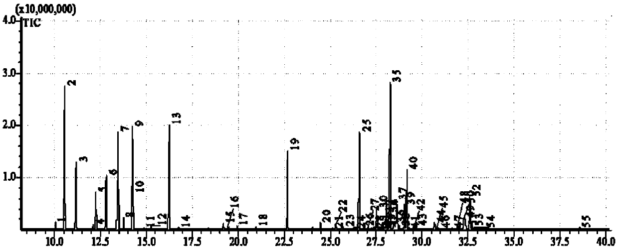 Pinus koraiensis needle essential oil as well as extraction method and application thereof in bacteriostatic culture medium