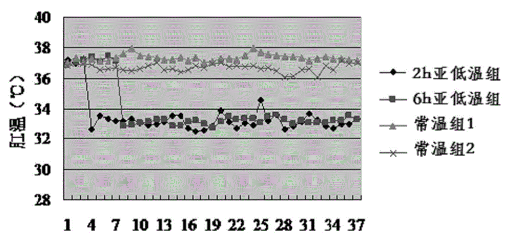 Preparation method for rat mild hypothermia animal model