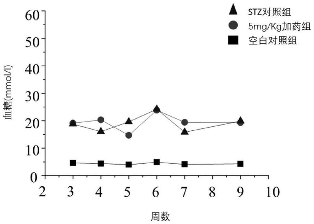 Application of potassium ATP channel regulator in preparation of medicine for resisting diabetic nephropathy