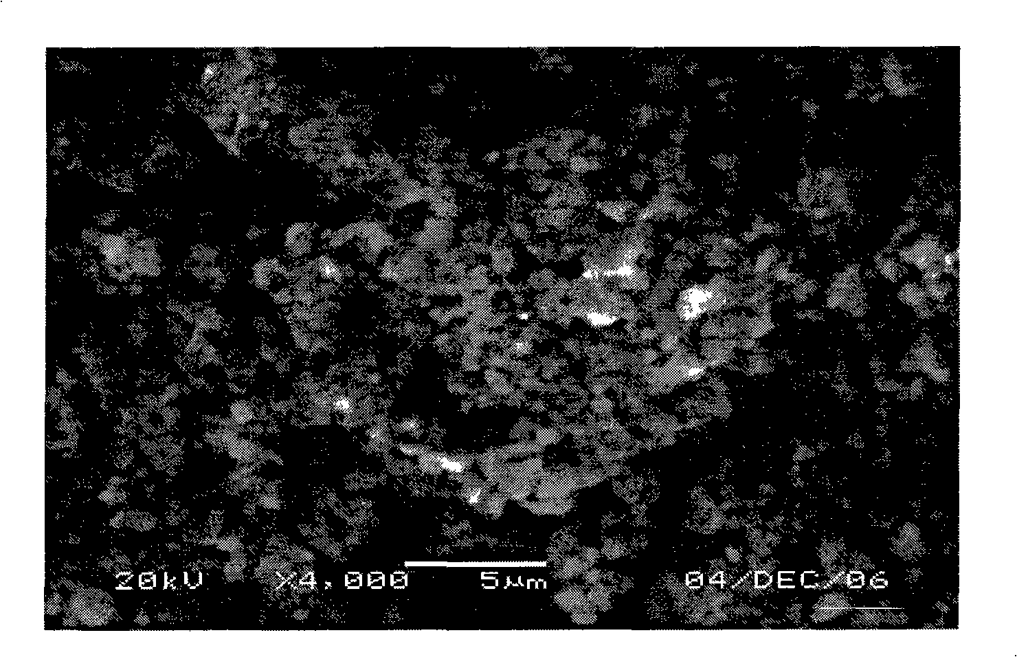 Method for processing anode material and battery with anode material processed by the method