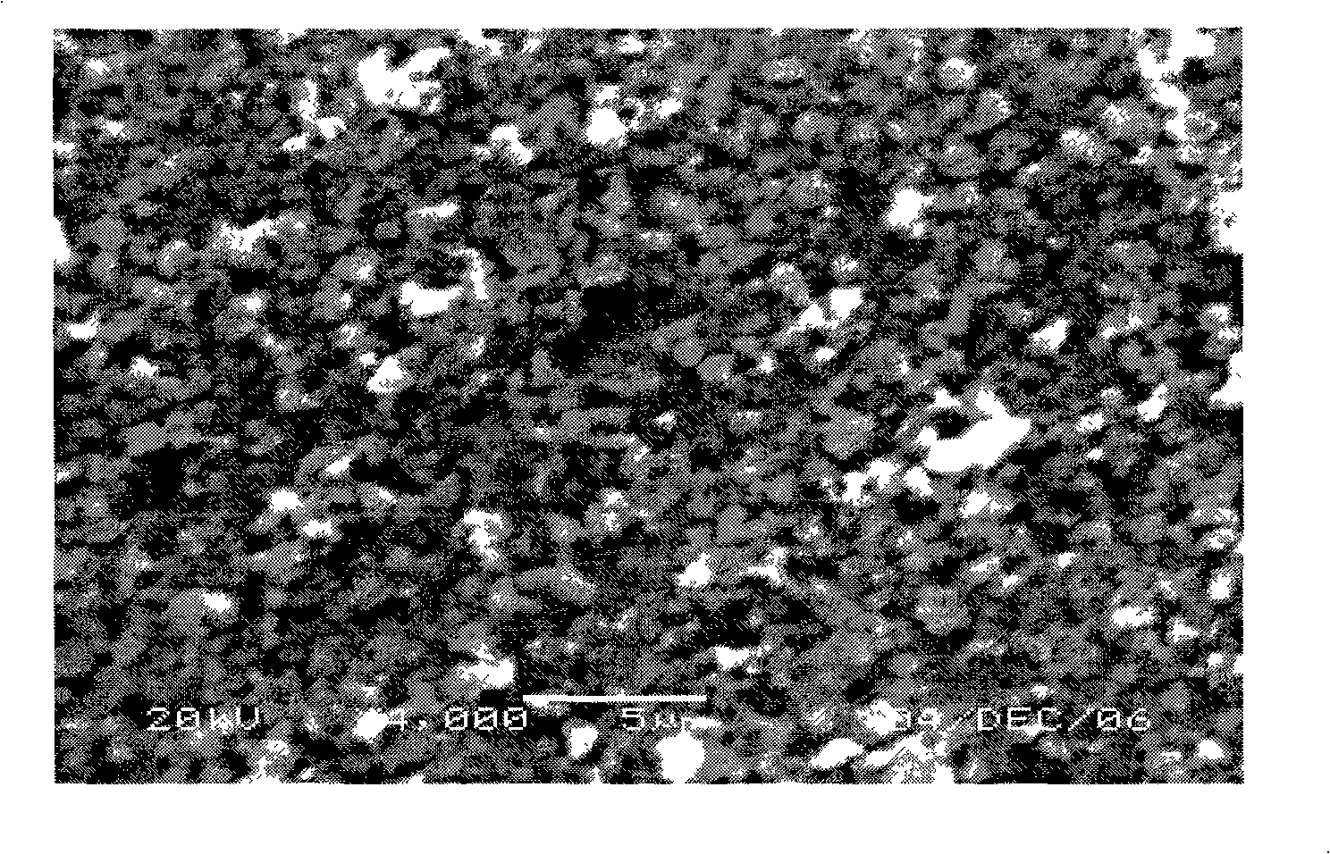 Method for processing anode material and battery with anode material processed by the method