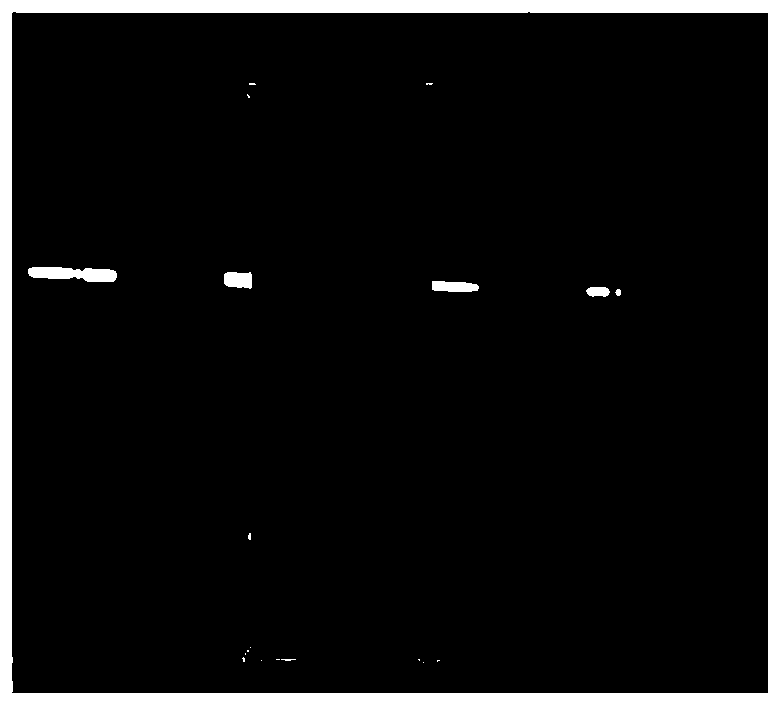 Method of grabbing shape symmetrical workpiece with high precision by using low precision depth camera