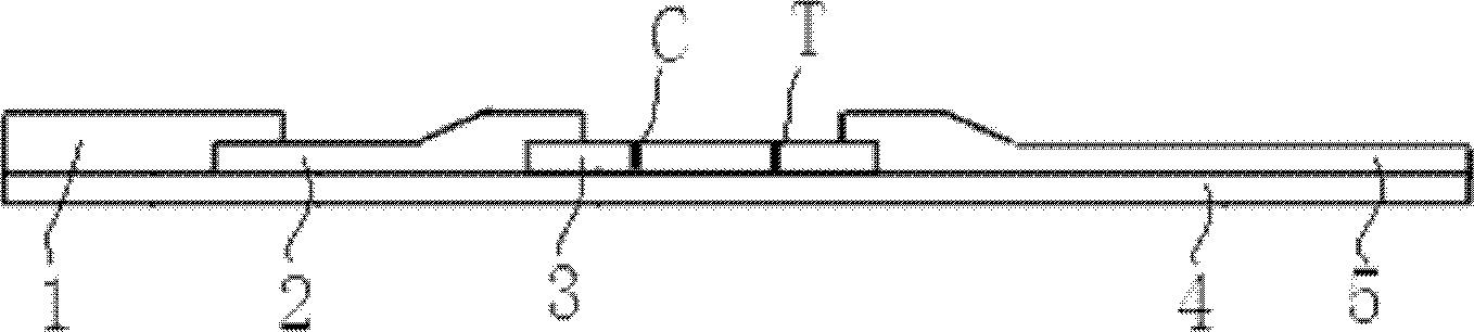 One-plate five-combined TORCH-IgM antibody colloidal gold rapid detection test strip and preparation method thereof