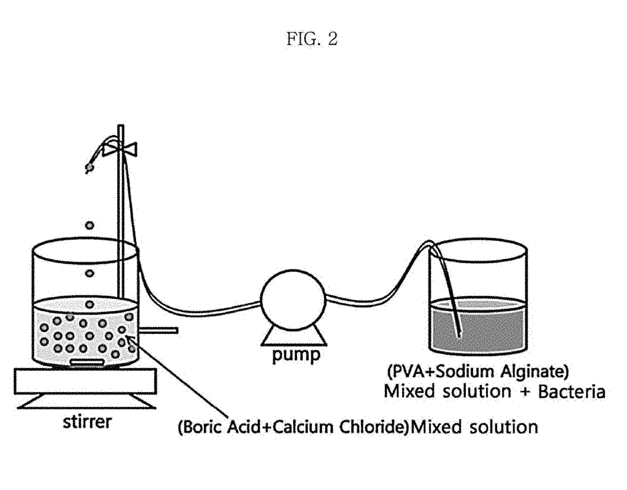 Carrier including ammonium oxidizing bacteria immobilized therein and method for preparing same