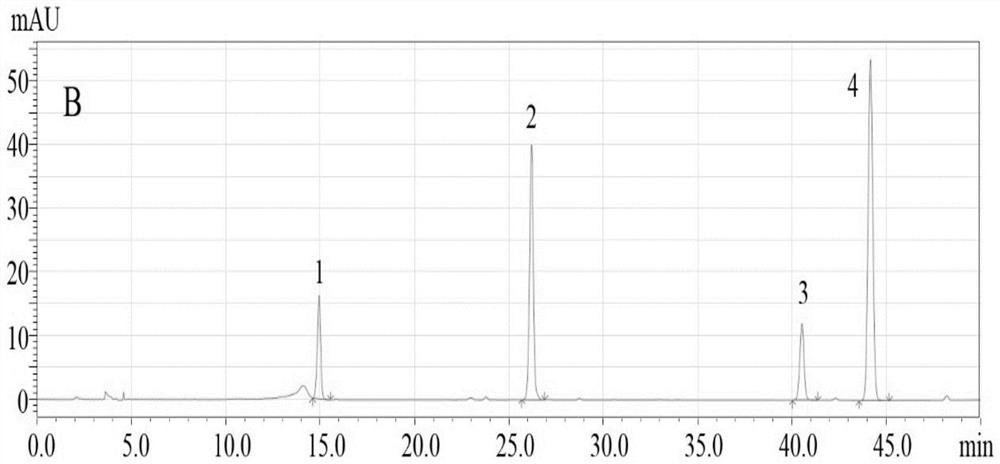 A kind of detection method of whole Eucommia capsule