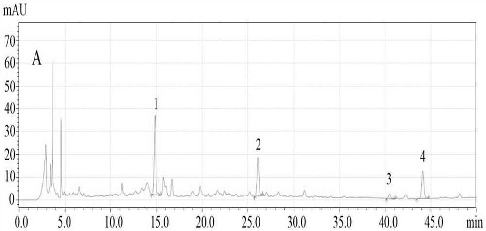 A kind of detection method of whole Eucommia capsule