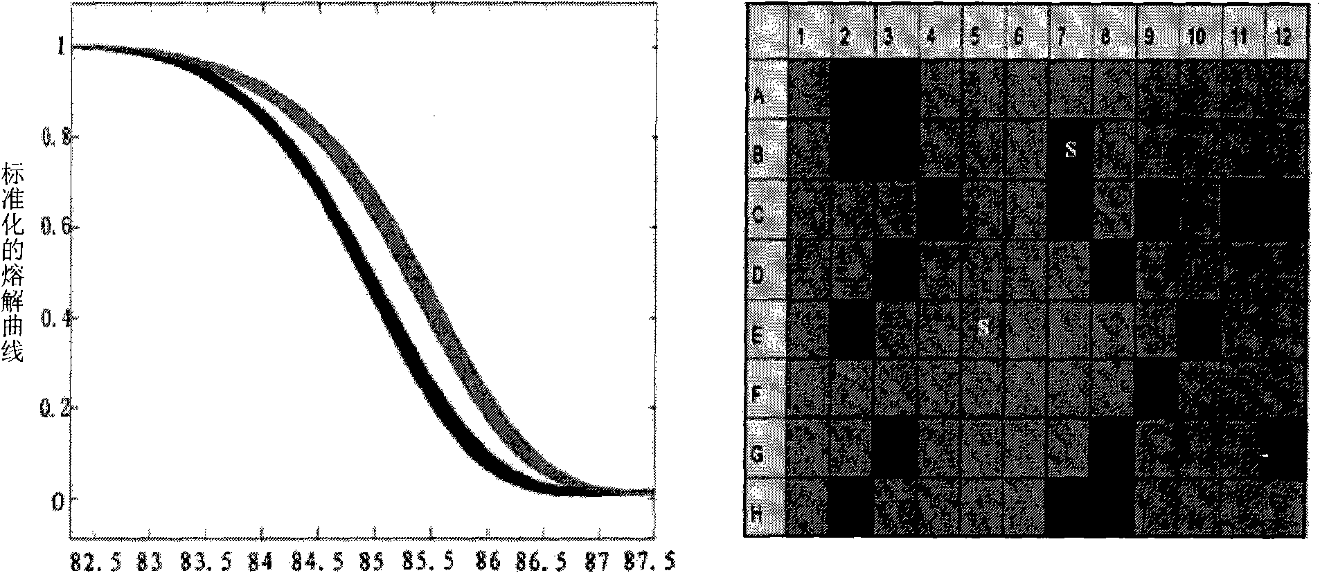 Method and kit for detecting polymorphism of mitochondrial ND1 gene mononucleotide, and application of kit