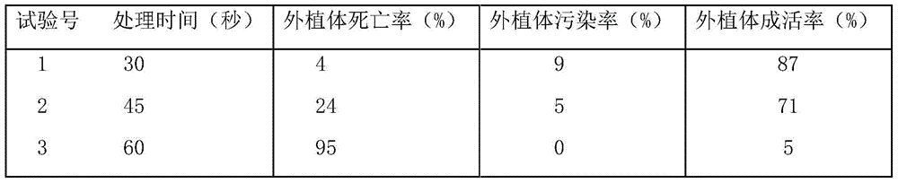 Explant disinfection method for culture of hair bearing plant tissue