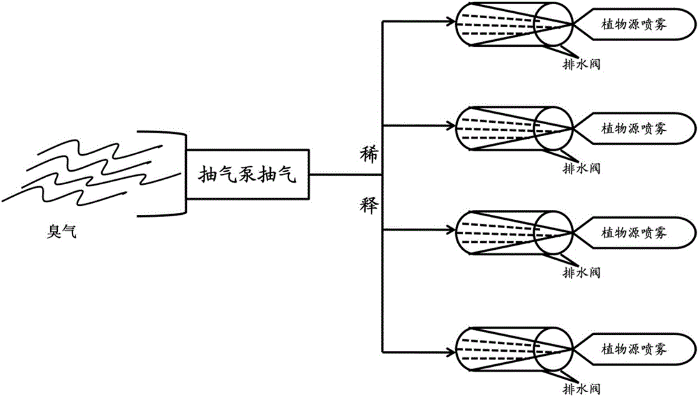 Plant source deodorization spray and application thereof