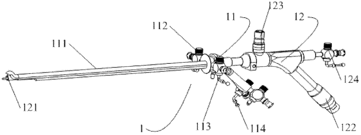 OCT (optical coherence tomographic) rigid cystoscopy system