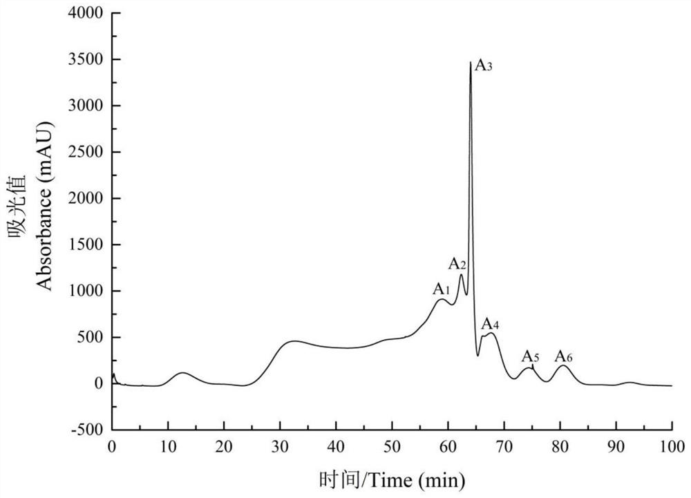 A kind of antioxidant peptide derived from hickory chick and its preparation method and application