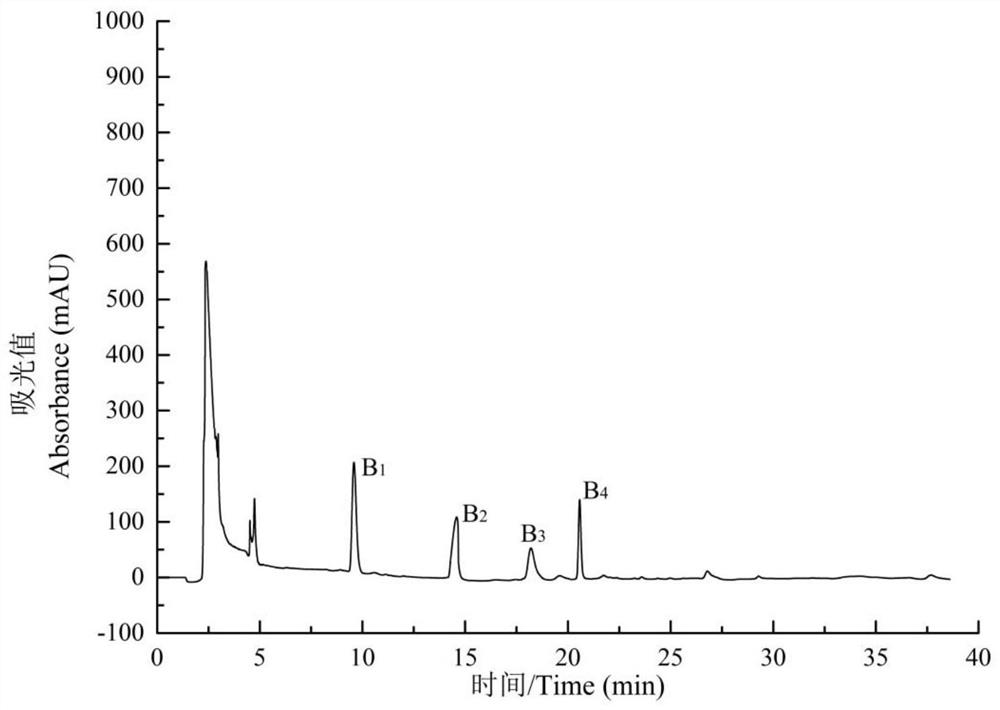 A kind of antioxidant peptide derived from hickory chick and its preparation method and application