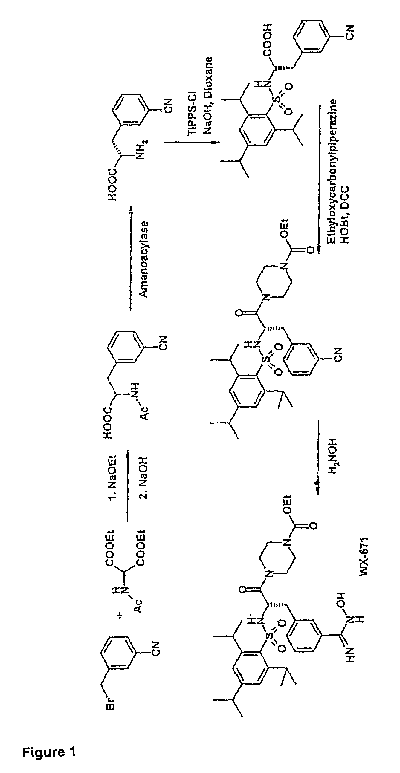 Hydroxyamidine and hydroxyguanidine compounds as urokinase inhibitors