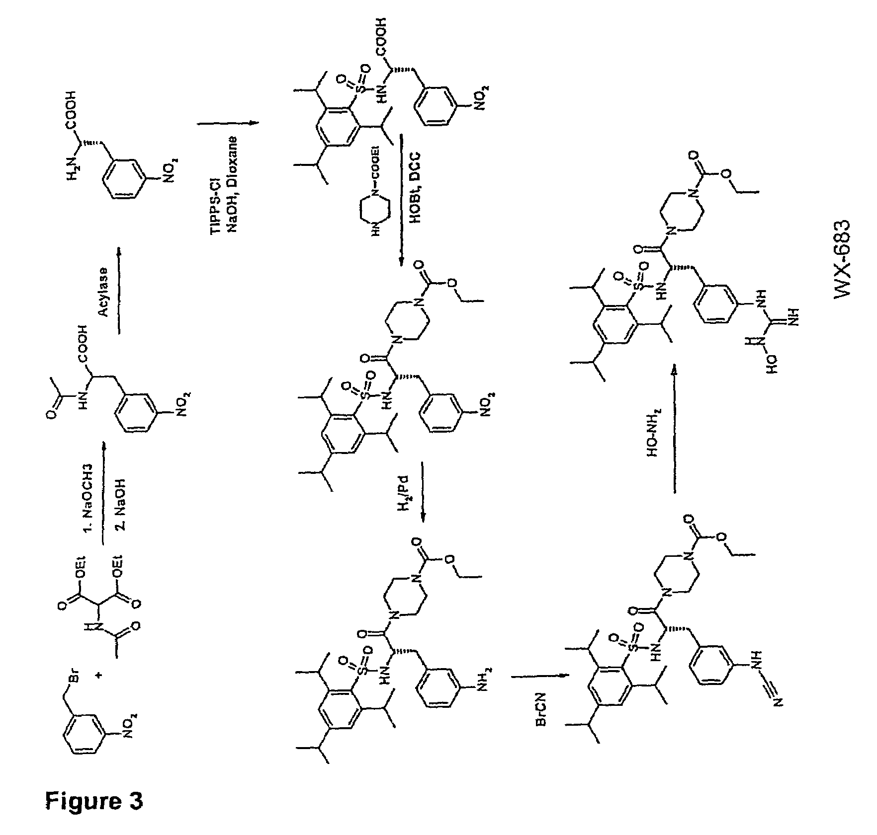 Hydroxyamidine and hydroxyguanidine compounds as urokinase inhibitors