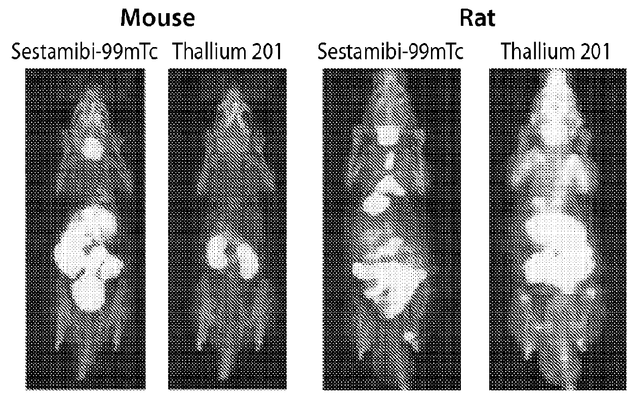 Compositions and methods for assessing neuromuscular function