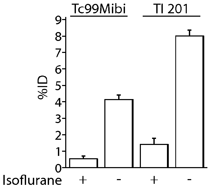 Compositions and methods for assessing neuromuscular function