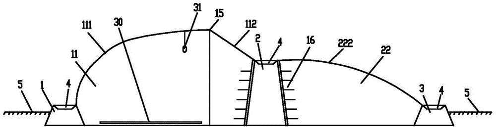 Ecological and energy-saving solar greenhouse of composite mud wall-canopy structure