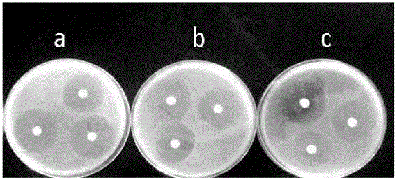 Natamycin micro-emulsion and preparation method thereof