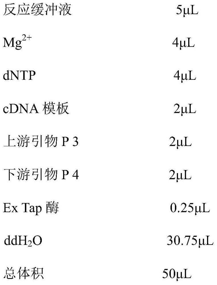 Ribosomal protein L9e, a lethal gene fragment of SBPH and its application