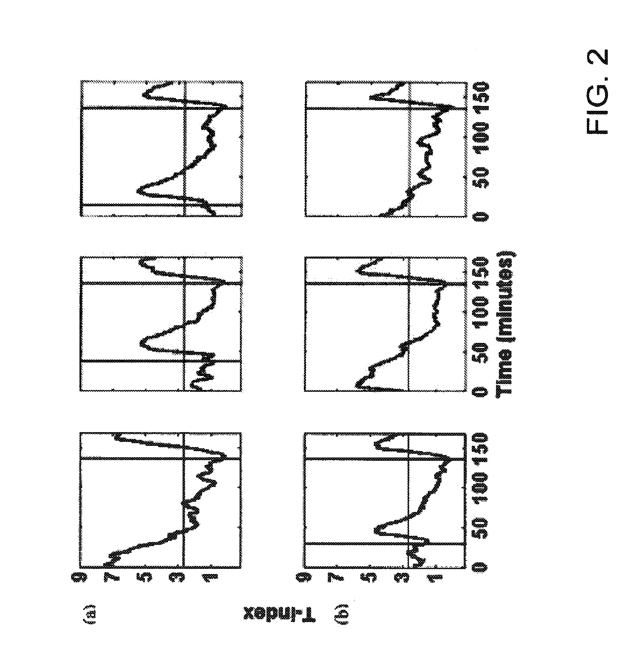 Methods for applying brain synchronization to epilepsy and other dynamical disorders