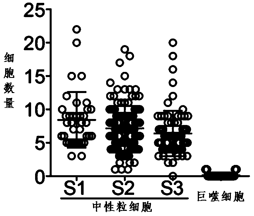 Purposes of PMNs in preparation of medicine for treating and/or preventing autoimmune hepatitis