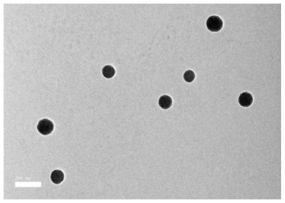 Multi-response core-shell structure nanogel, and preparation method and application thereof