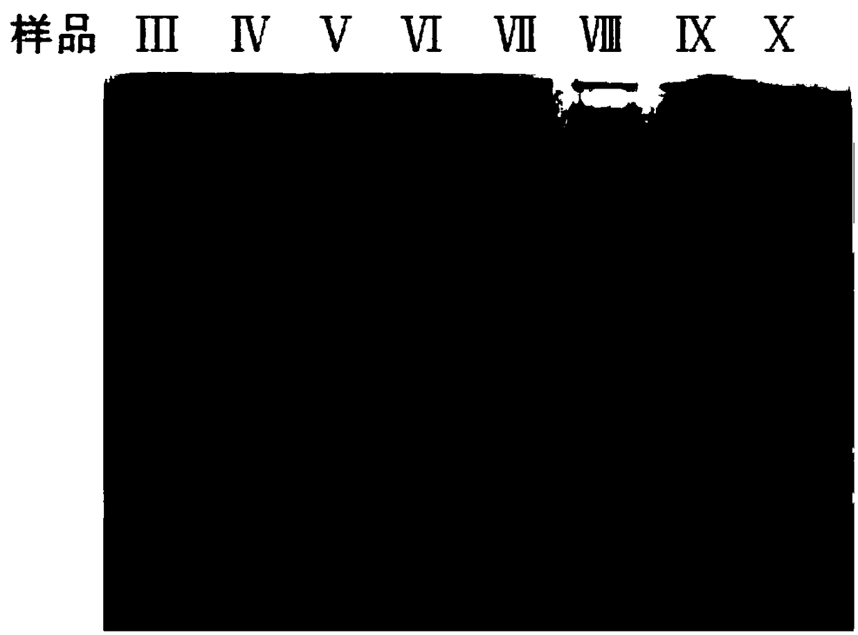 Method for separating and purifying exosomes