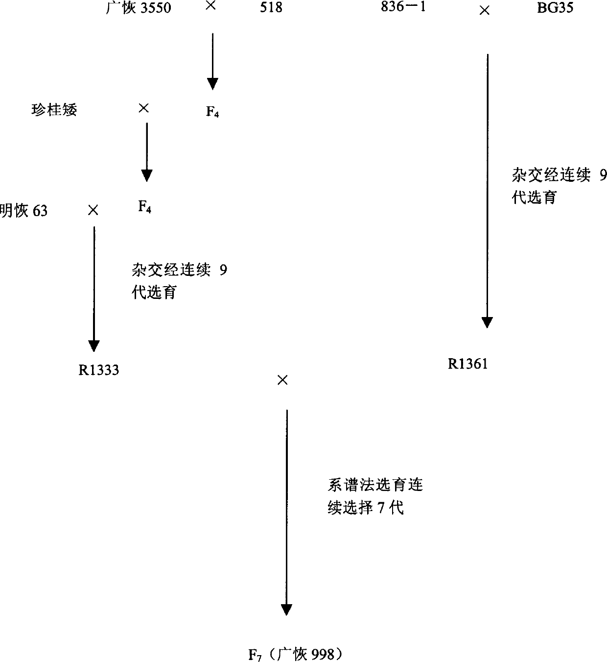 Method for making seeds through hybridizing among three series of paddy rice