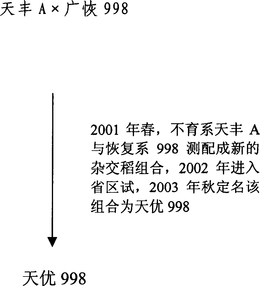 Method for making seeds through hybridizing among three series of paddy rice