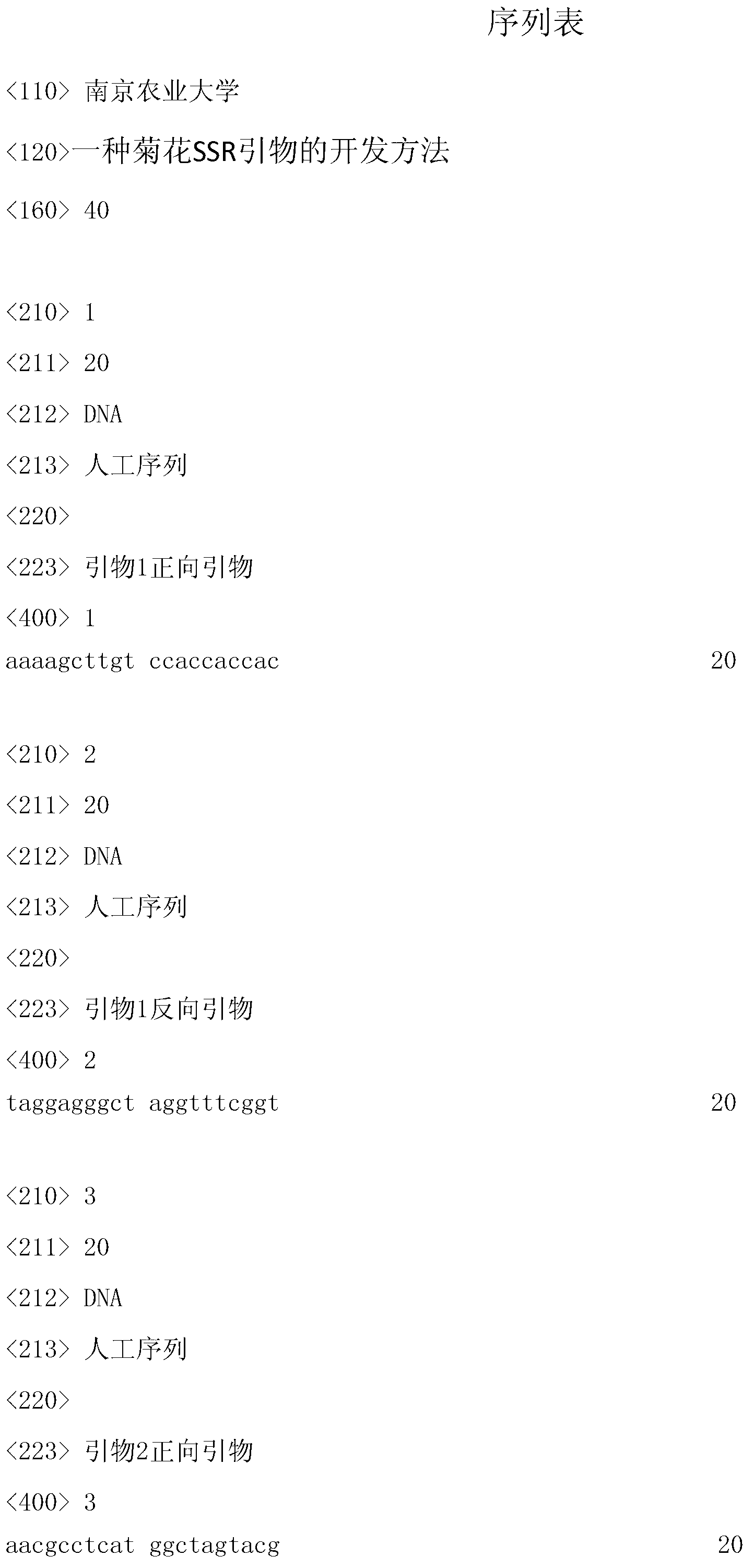 Development method of chrysanthemum SSR (Simple Sequence Repeat) primer