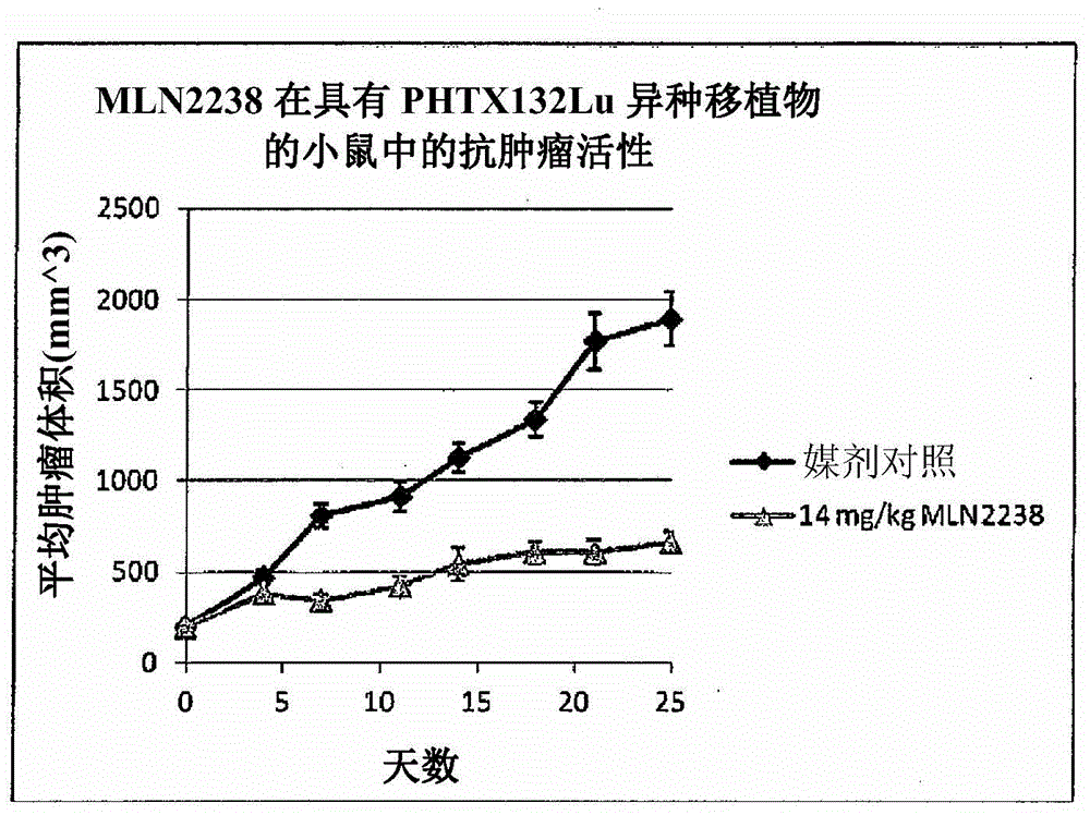 Biomarkers of response to proteasome inhibitors