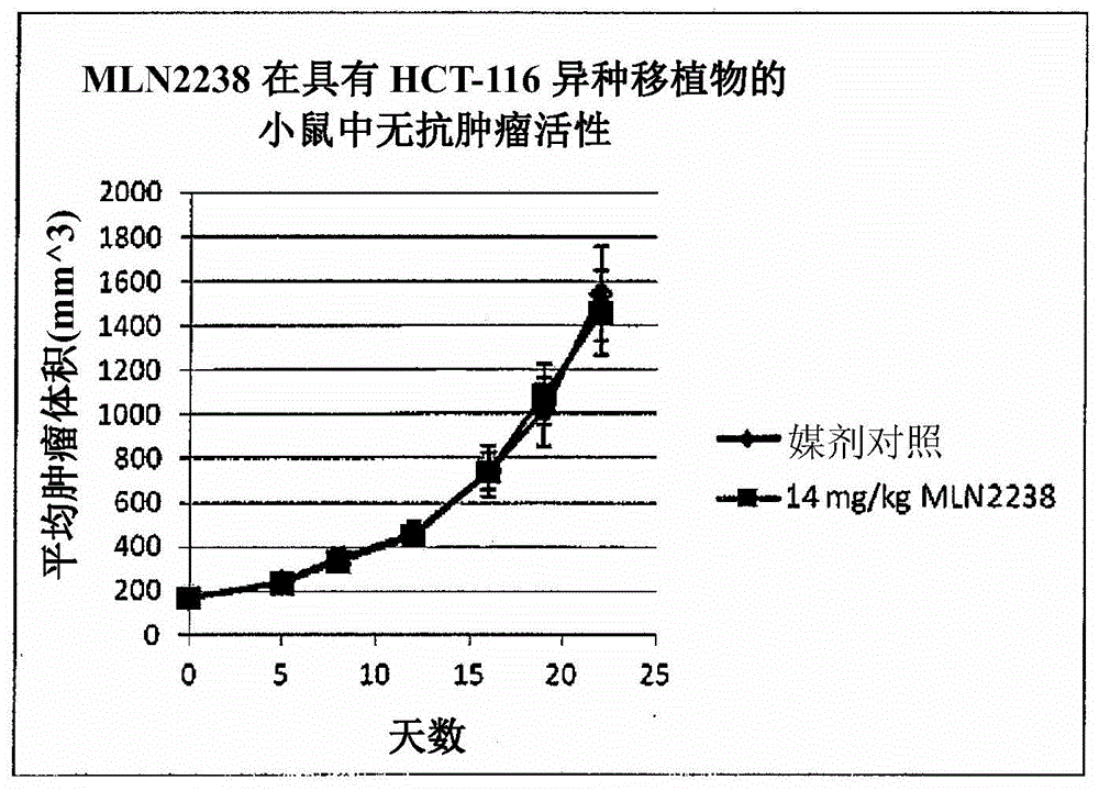 Biomarkers of response to proteasome inhibitors