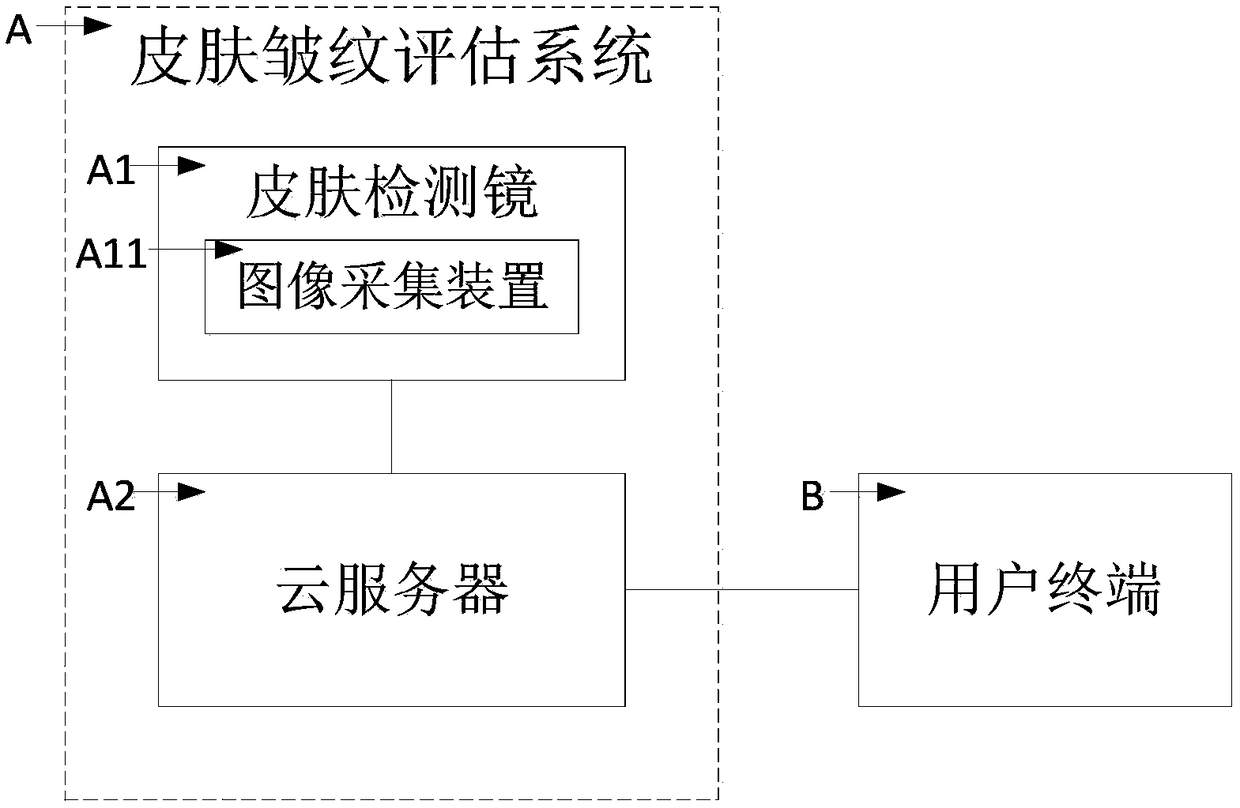 Visual skin wrinkle assessment method and system