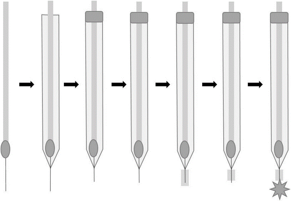 Nano flower-shaped ultramicro gold electrode and preparation and application thereof