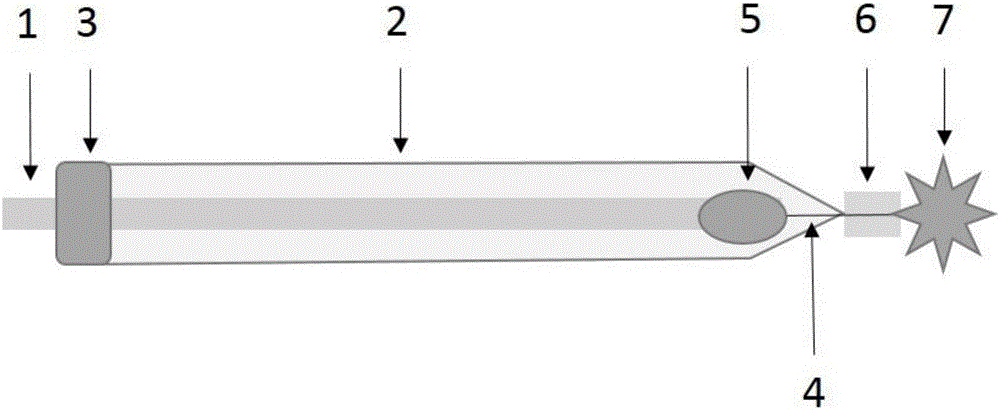 Nano flower-shaped ultramicro gold electrode and preparation and application thereof