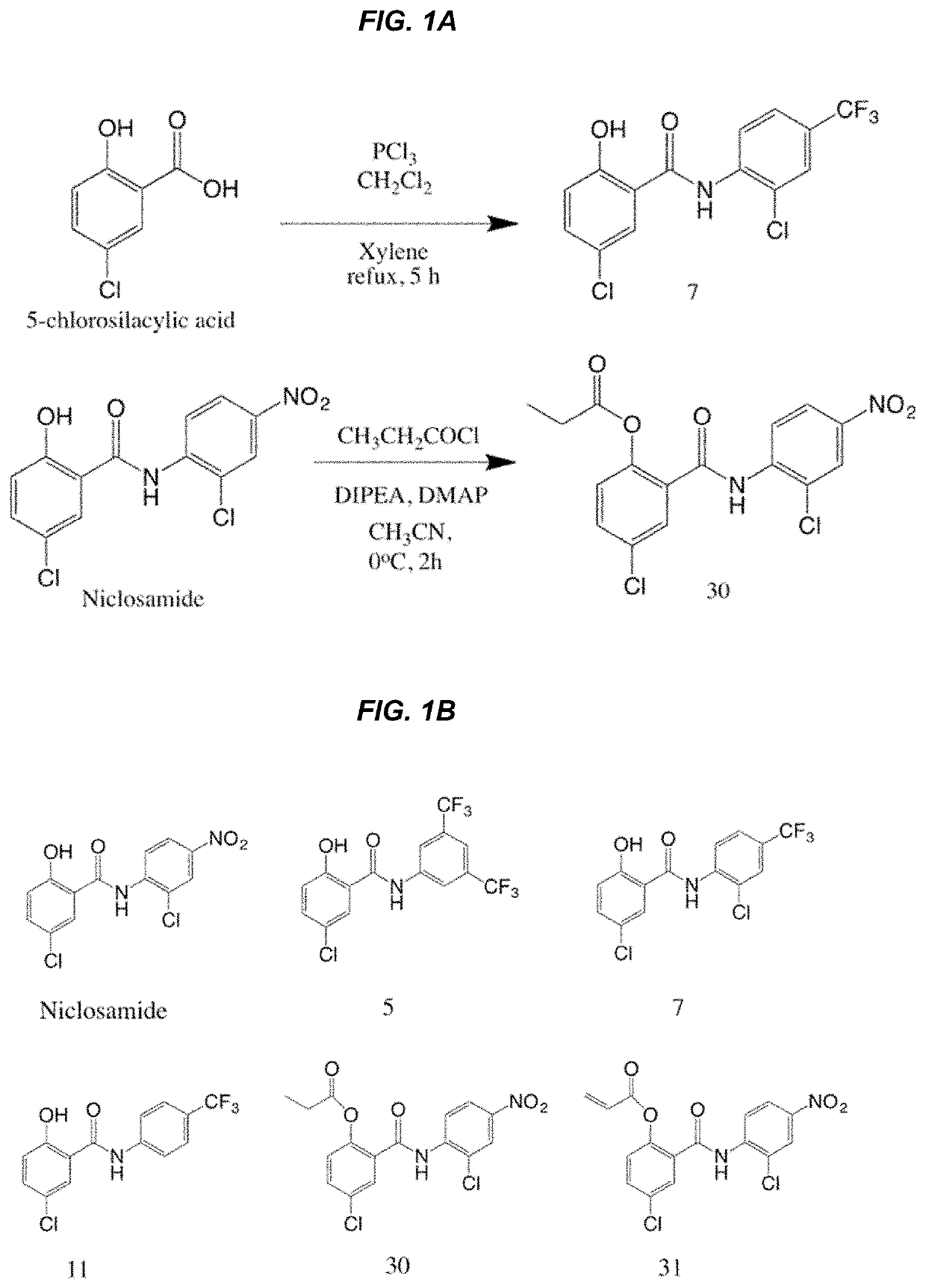 Compositions and methods for treating androgen-independent cancer