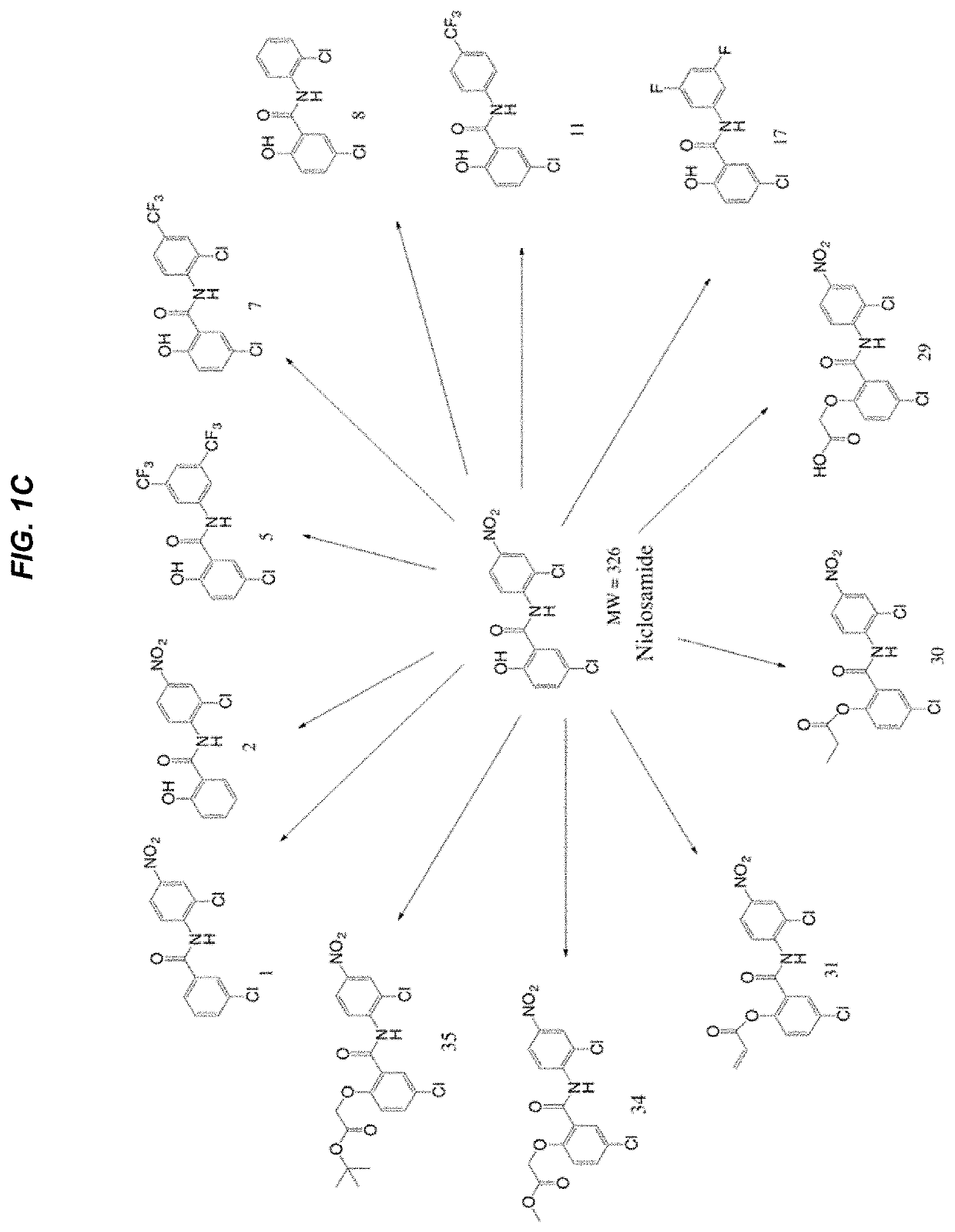 Compositions and methods for treating androgen-independent cancer