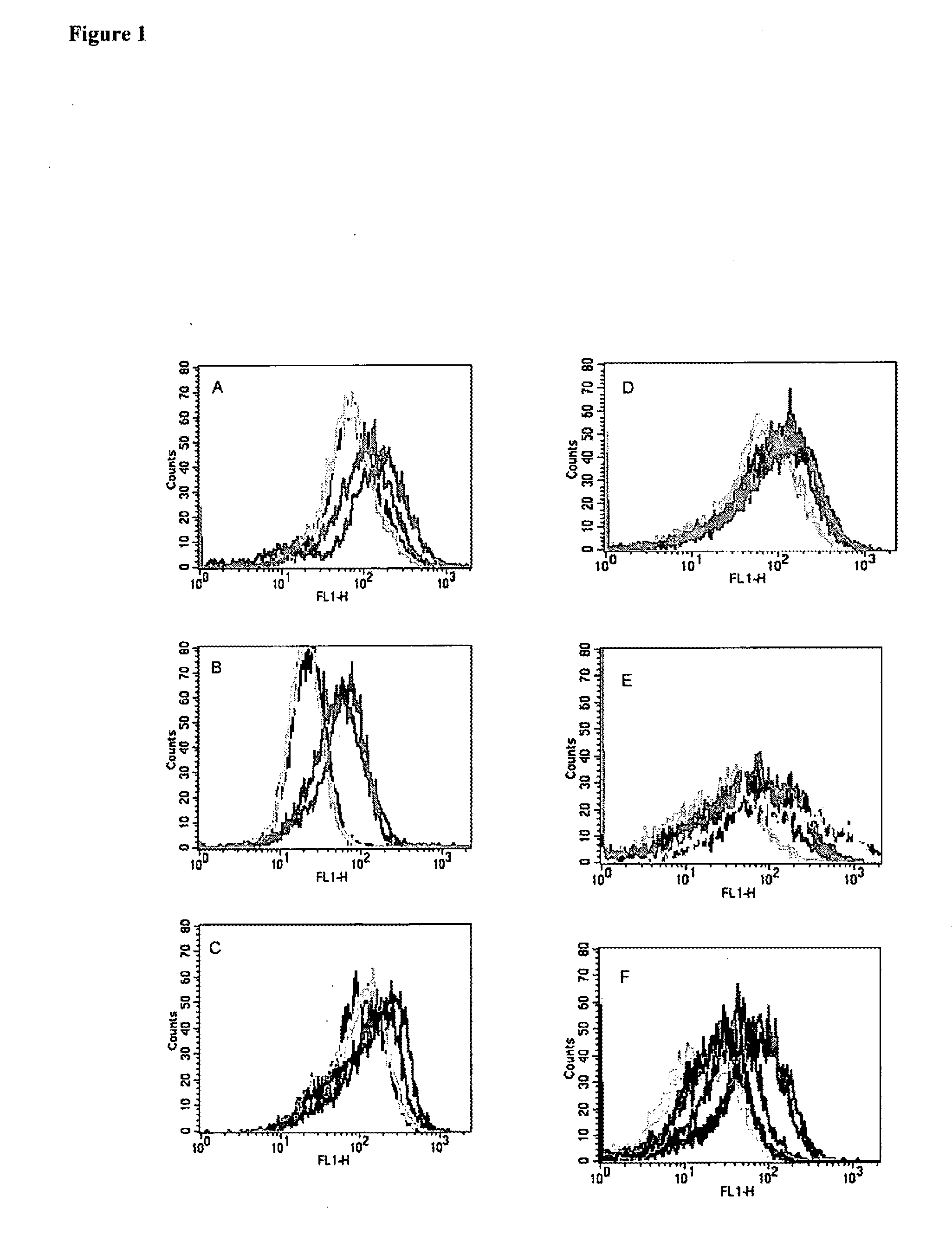 Mesothelin Vaccines and Model Systems