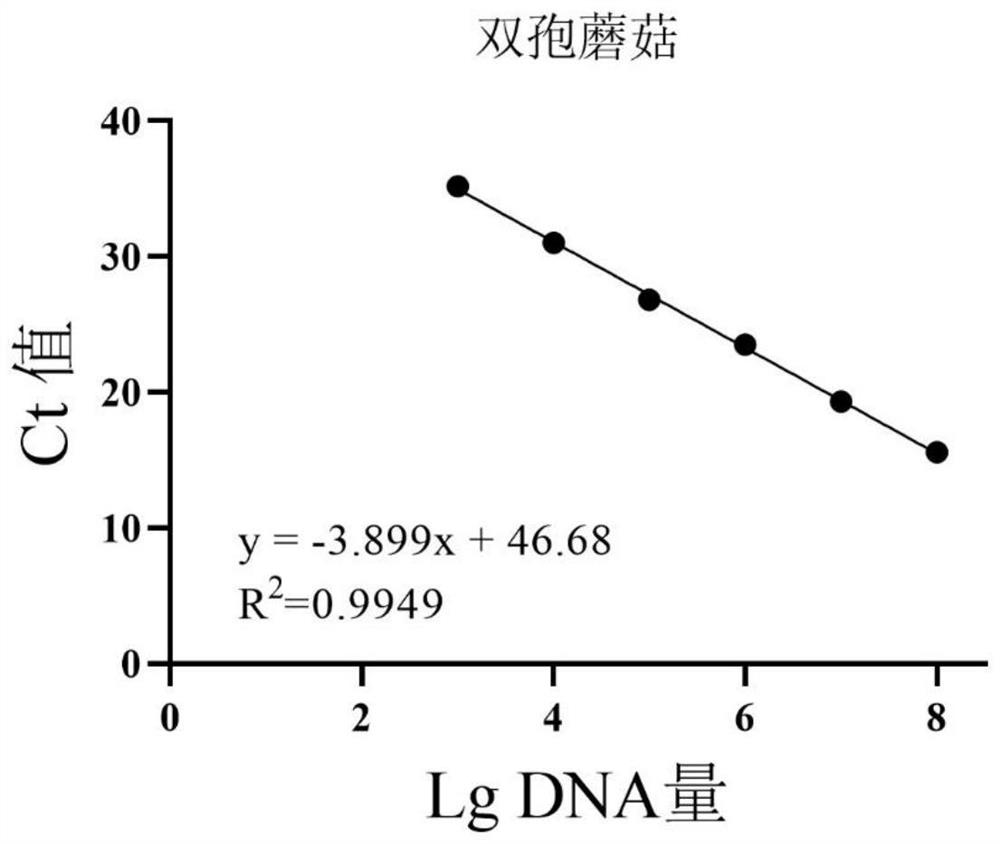 Primer probe combination and detection method for detecting gambogia gambosa and agaricus bisporus