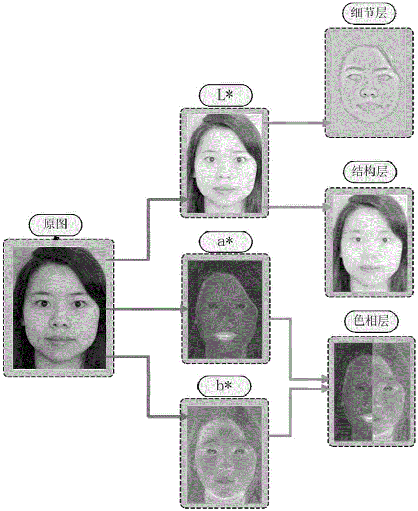 Facial image layer decomposition method based on improved guide filter