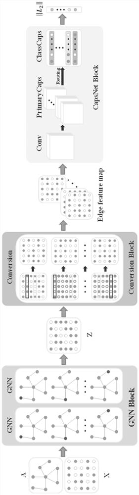 Link prediction method based on graph neural network and capsule network