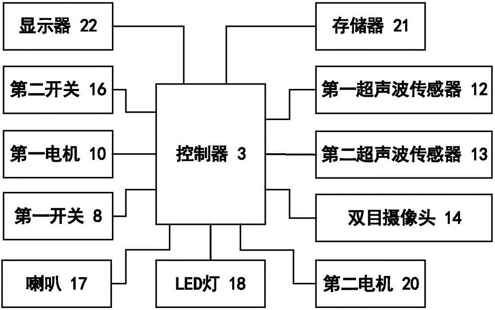 Live fish size detection device and detection method