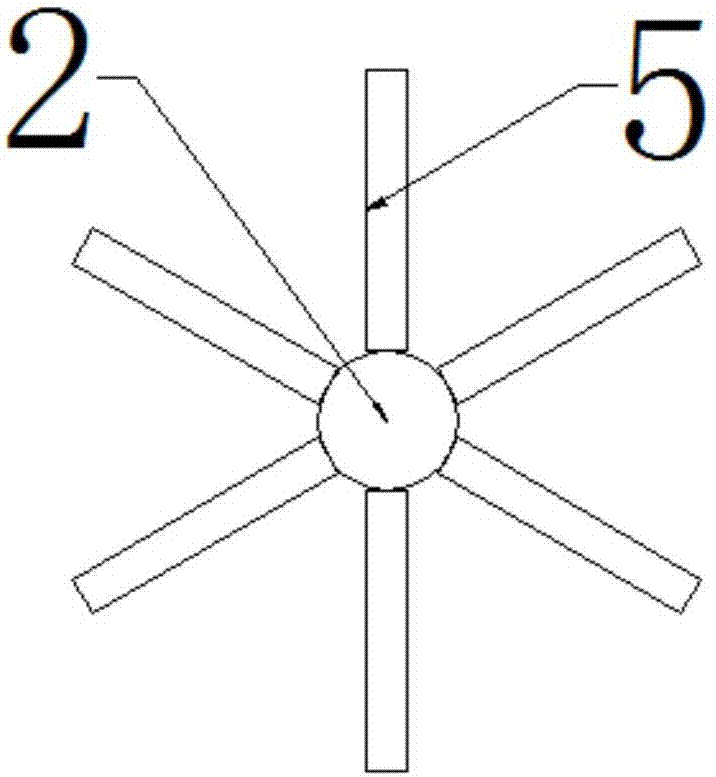 Cam type traditional Chinese medicine drying equipment