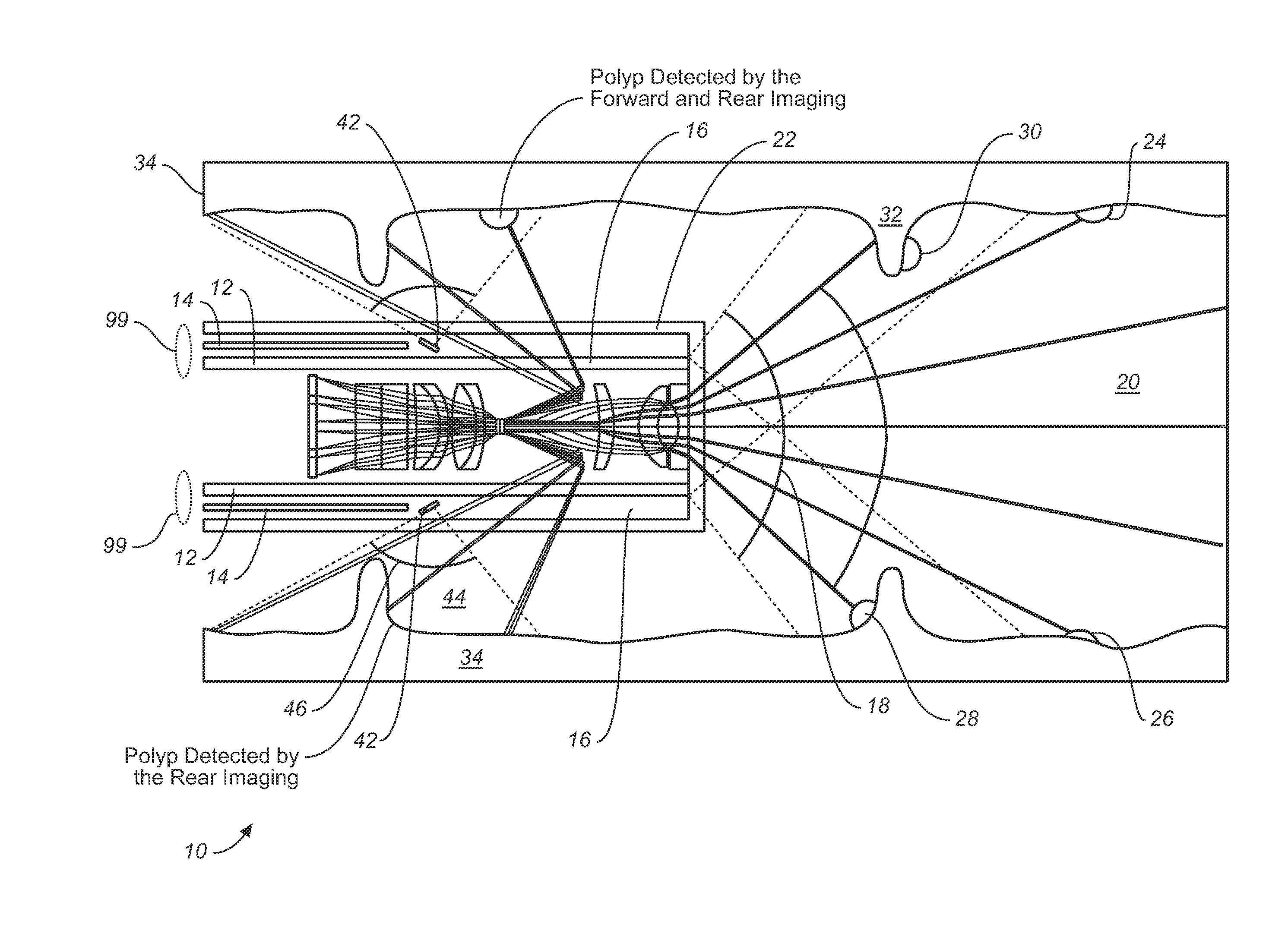 Dual-View Probe for Illumination and Imaging, and Use Thereof