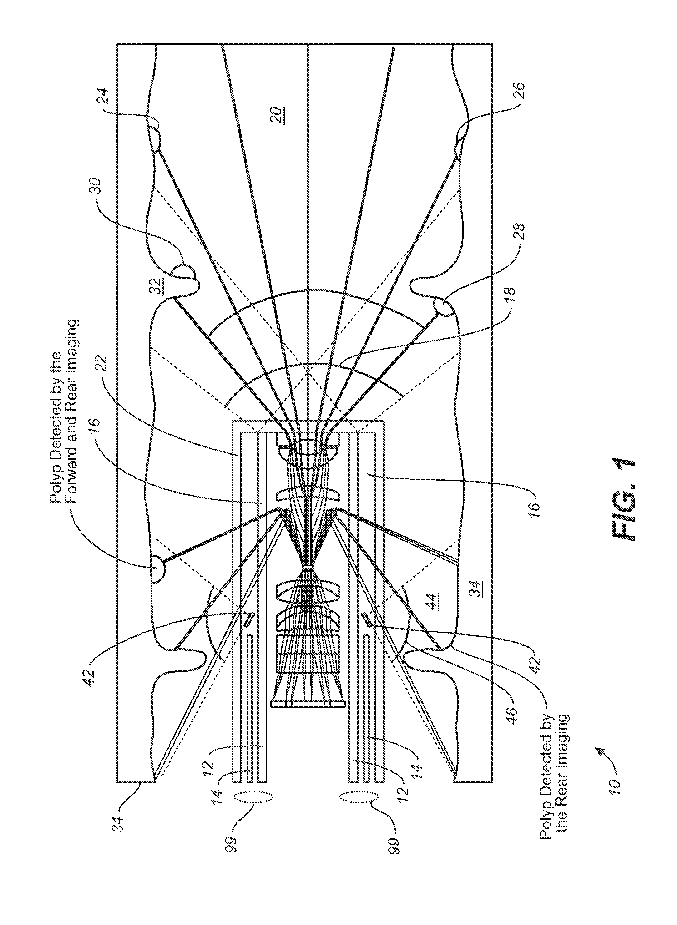 Dual-View Probe for Illumination and Imaging, and Use Thereof