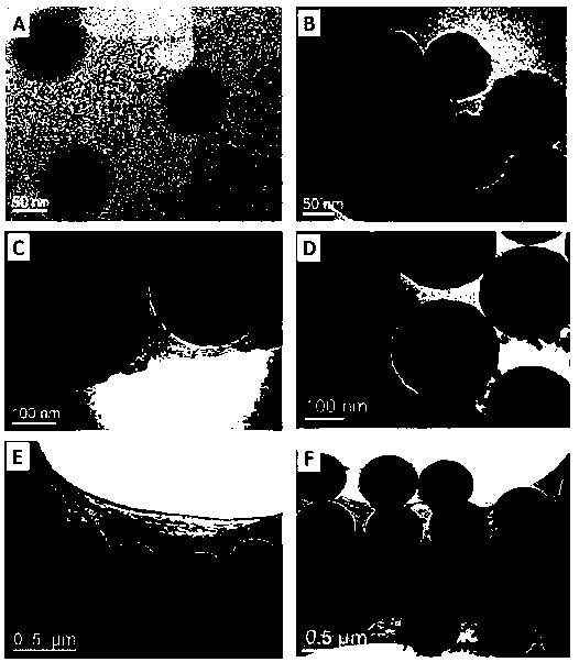 Polymer-modified mesoporous carbon nanoparticle and preparation and application thereof