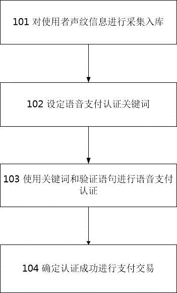 Voiceprint feature based remote authentication payment system and method