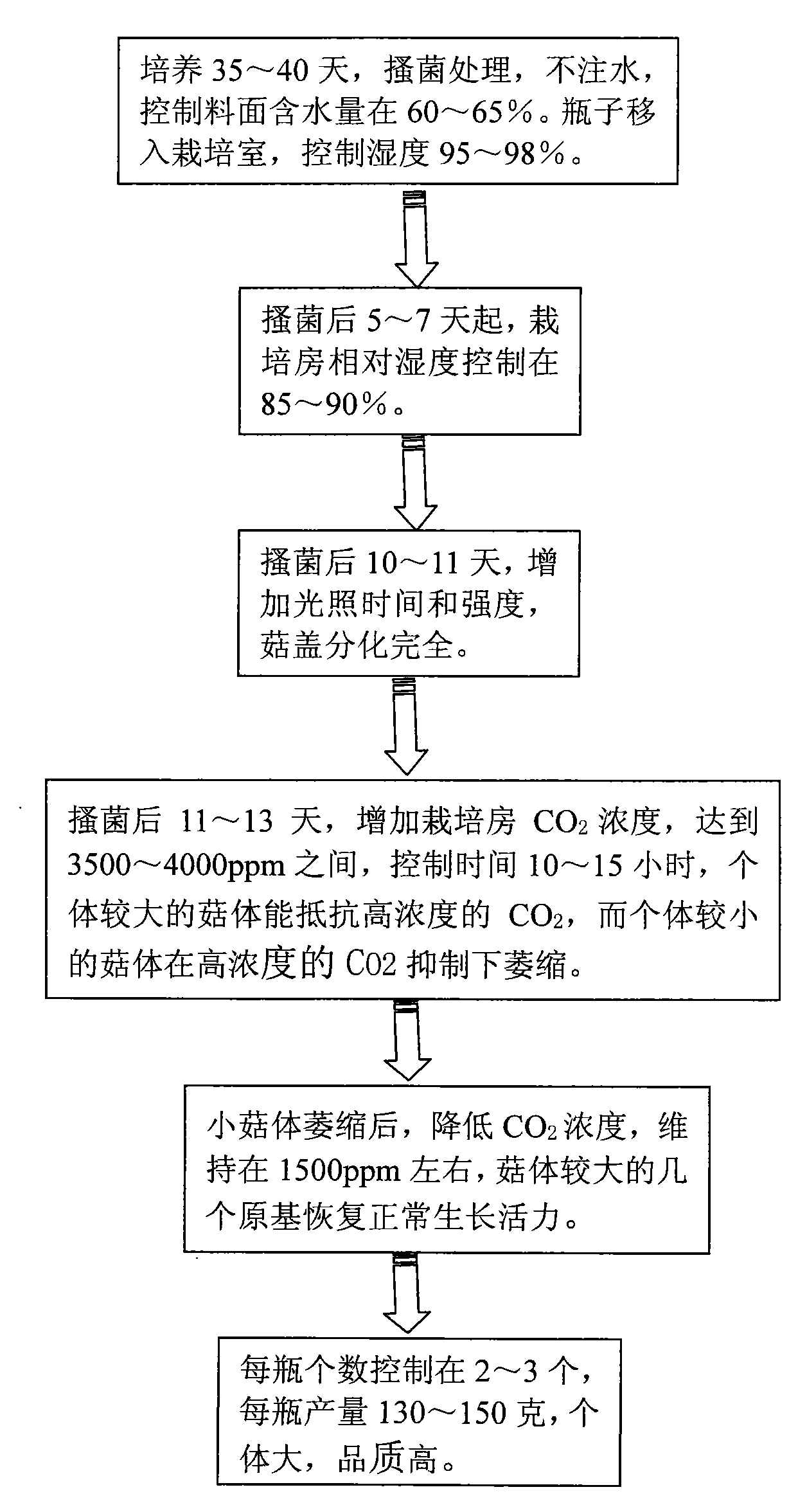 Primordium control method during pleurotus eryngiu factory production.