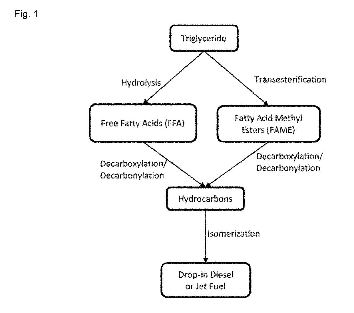 Process for the production of hydrocarbon biofuels